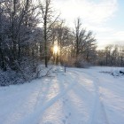 winter-lane